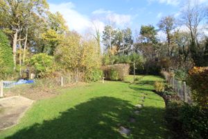 Photo 31- click for photo gallery